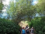 IMG24