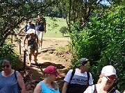 IMG25