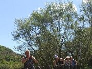 IMG36